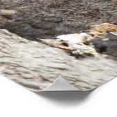 Eigenaren Poster (Hoek)