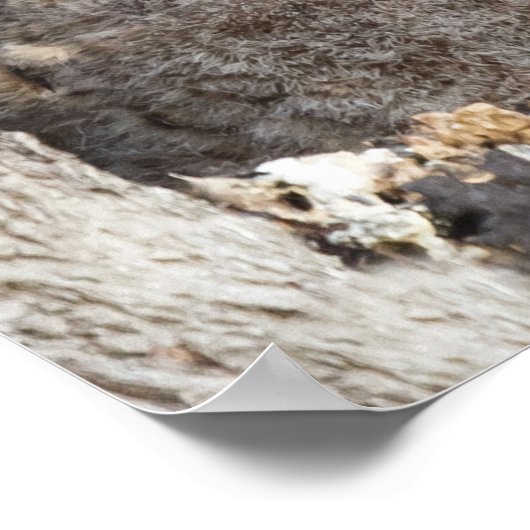 Eigenaren Poster (Hoek)