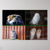 Eigenaren Poster (Voorkant)