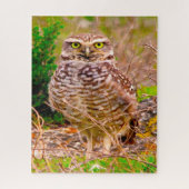 Eigenaren - Zagen van prooi. Legpuzzel (Verticaal)