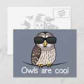 Eigenaren zijn koel briefkaart (Voorkant / Achterkant)