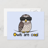 Eigenaren zijn koel briefkaart (Voorkant / Achterkant)