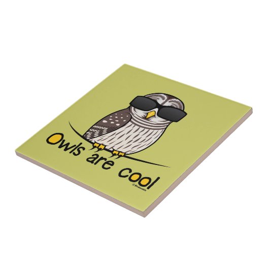 Eigenaren zijn koel tegeltje (Zijkant)