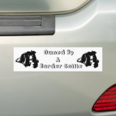 Eigendom van een Border Collie Funny Bumpersticker (Op auto)