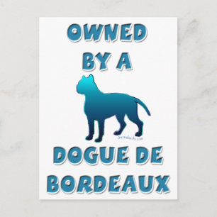 Eigendom van een Dogue de Bordeaux Briefkaart
