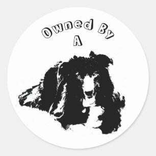 Eigendom van een grens Collie Cute Dog Ronde Sticker