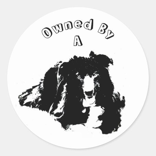 Eigendom van een grens Collie Cute Dog Ronde Sticker (Voorkant)