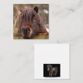 Eigendom van een Shetland Note Card Notitiekaartje (Voorkant / Achterkant)