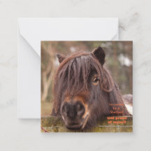 Eigendom van een Shetland Note Card