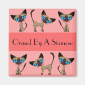 Eigendom van een Siamese magneet (Voorkant)