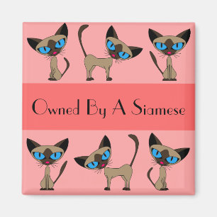 Eigendom van een Siamese Magnet