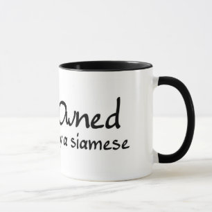 eigendom van een siamese mok
