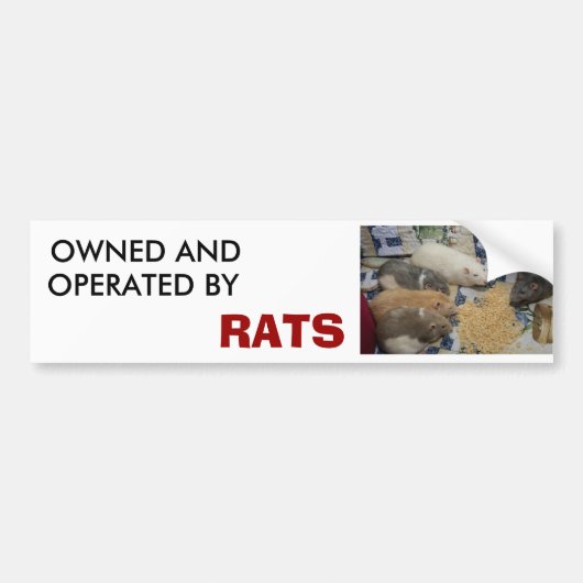 eigendom van en geëxploiteerd door RATS Bumpersticker (Voorkant)