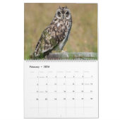 Eigendom van Hawaii Kalender (Feb 2026)