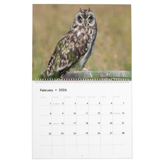 Eigendom van Hawaii Kalender (Feb 2026)