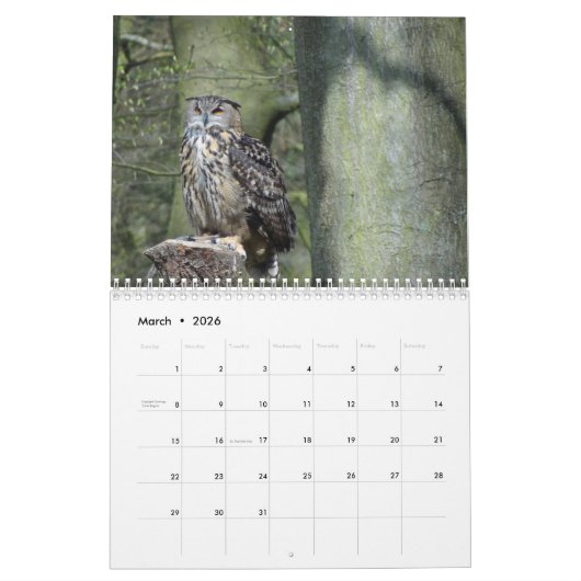 Eigendom van kalender 2016 (Mar 2026)