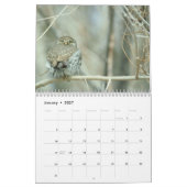 Eigendom van kalender 2016 (Jan 2027)