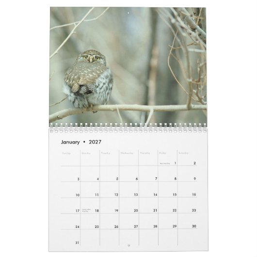 Eigendom van kalender 2016 (Jan 2027)