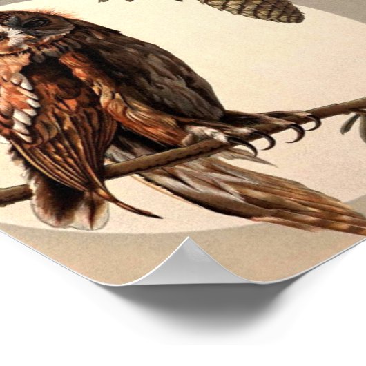 Eigendom van Moon Light door Anton Seder Poster (Hoek)