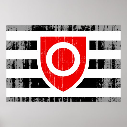 EIGENDOMSWAARDIGHEDEN VLAG POSTER (Voorkant)