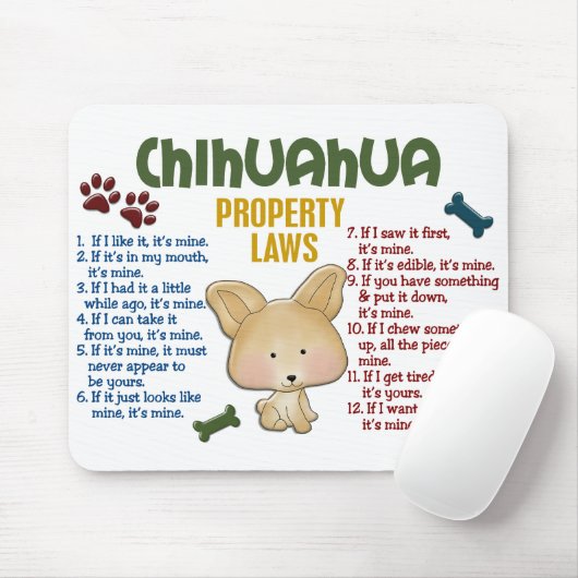 Eigendomswetten 4 muismat (Met muis)