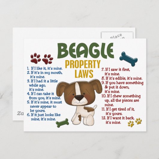 Eigendomswetten beagle 4 briefkaart (Voorkant / Achterkant)