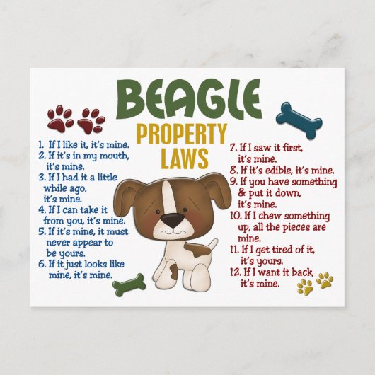 Eigendomswetten beagle 4 briefkaart (Voorkant)