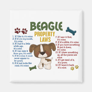 Eigendomswetten beagle 4 magneet