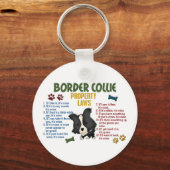 Eigendomswetten voor het grensbeheer 4 sleutelhanger (Voorkant)