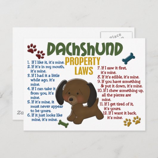 Eigendomwetten Dachshund 4 Briefkaart (Voorkant / Achterkant)