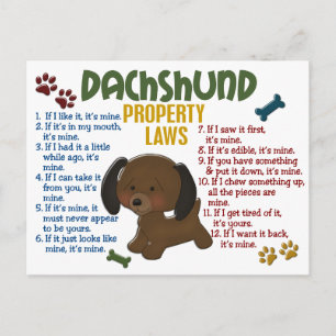 Eigendomwetten Dachshund 4 Briefkaart