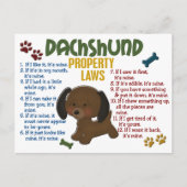 Eigendomwetten Dachshund 4 Briefkaart (Voorkant)