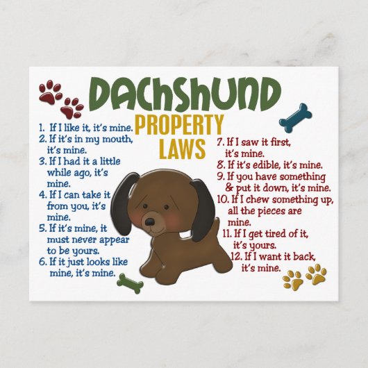 Eigendomwetten Dachshund 4 Briefkaart (Voorkant)
