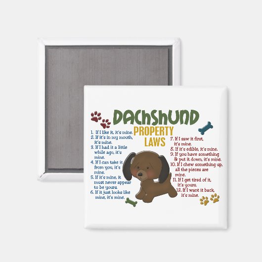 Eigendomwetten Dachshund 4 Magneet (Voorkant / Achterkant)