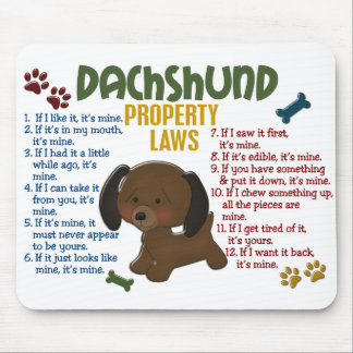 Eigendomwetten Dachshund 4 Muismat