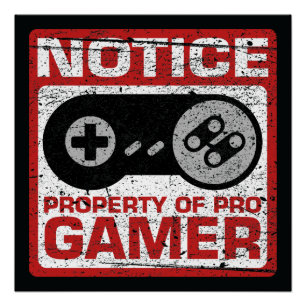 Eigenschap van Pro Gamer Poster