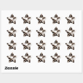 Eigentijds Zwart & Wit Art. Ster Sticker (Vel)