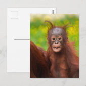 Eigenzinnige charme van een orang-oetan Baby Briefkaart (Voorkant / Achterkant)