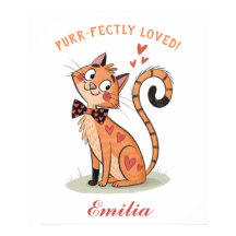 Eigenzinnige speelse huiskat - Schattigee Doodle B