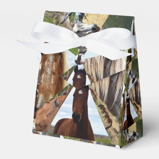 Eight Horse Triangles, Party Favor Box Bedankdoosjes (Voorkant Zijde)