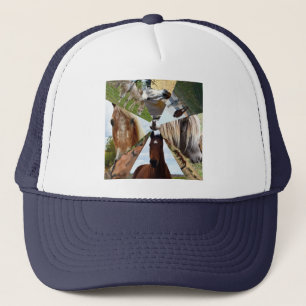 Eight Horse Triangles, Truckers Pet