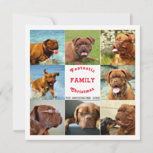 Eight Photo Family Kerstmis - spectaculair