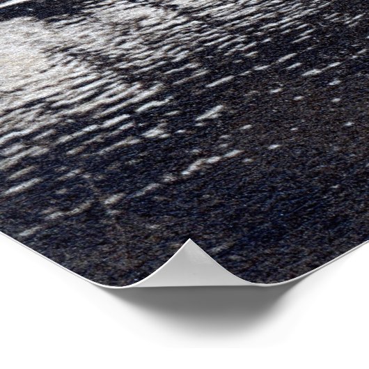 Eights Crew Rowing, Oxford England  Poster (Hoek)