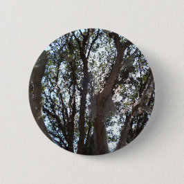 eik blauwe lucht en Spaans mos Ronde Button 5,7 Cm