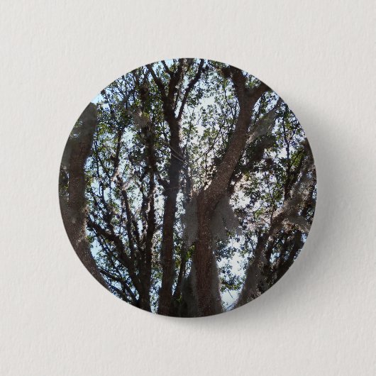 eik blauwe lucht en Spaans mos Ronde Button 5,7 Cm (Voorkant)