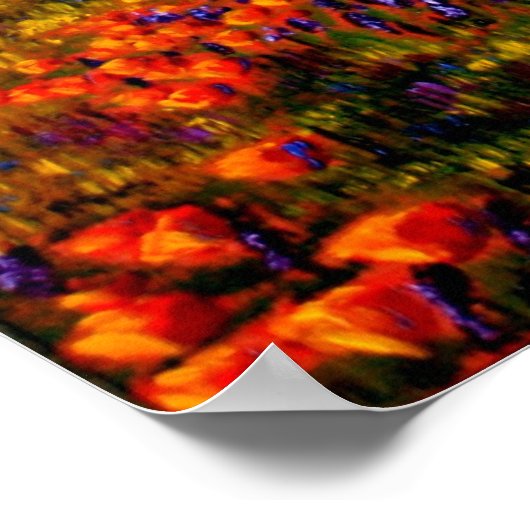 Eik in de papavervelden poster (Hoek)