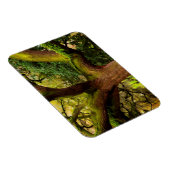 Eik Magneet (Rechterzijde)