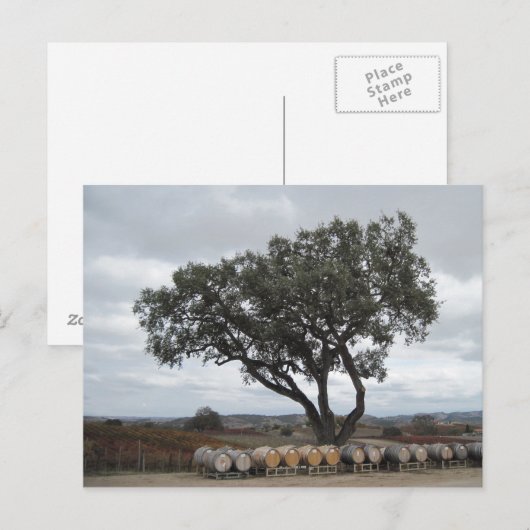 Eik met wijnvaten, Doce Robles Briefkaart (Voorkant / Achterkant)