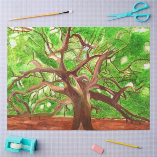 Eik Tissuepapier (Craft)