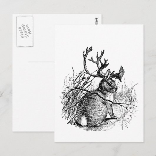 eikel briefkaart (Voorkant / Achterkant)